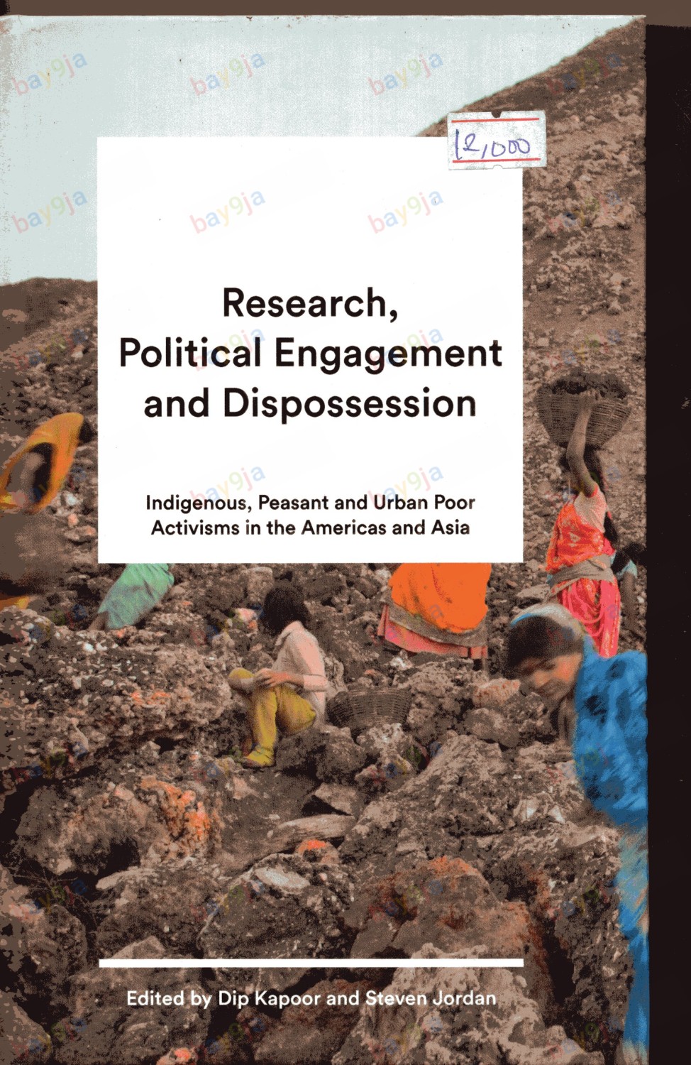 Research Political Enagement And Dispossession